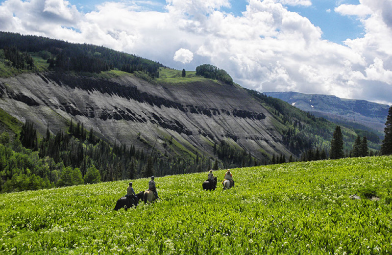 Horseback riding at Wild Skies Cabin Rentals.