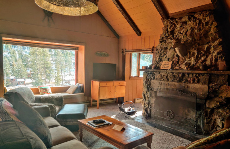 Cabin living room at Valhalla Resort.