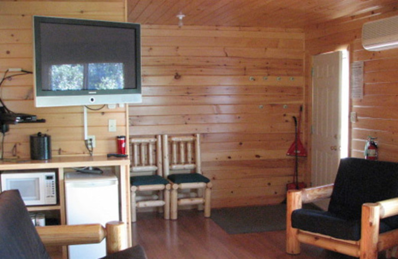 Cabin interior at Shady Roost Lodge.