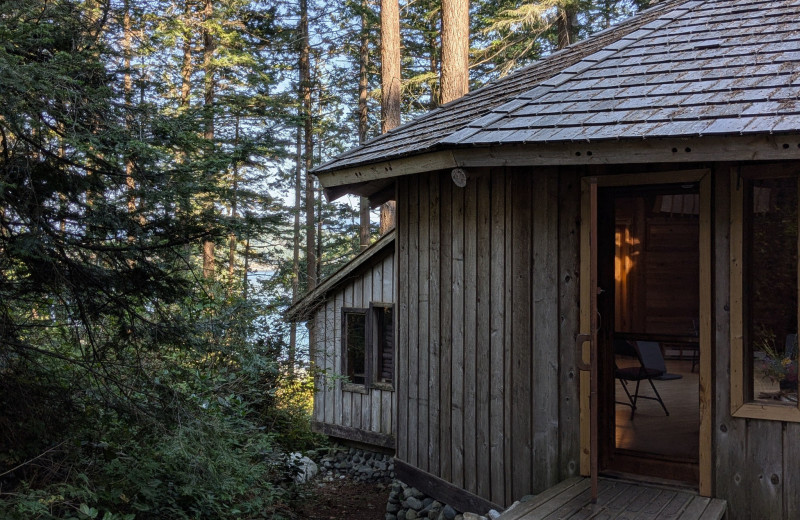 Exterior view of  Hollyhock.