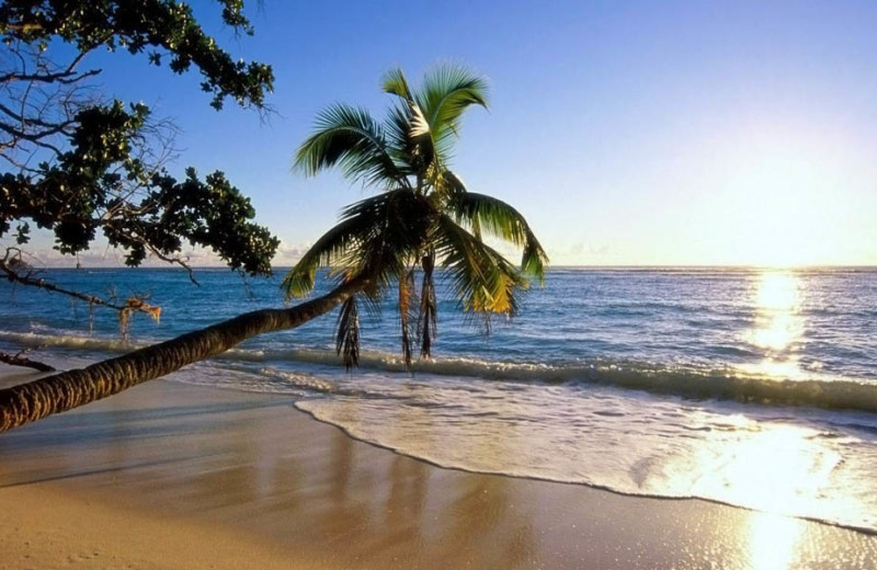 The beach near Gulf Strand Resort.