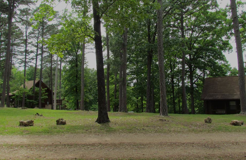 Cabins at Ridge Top Resort 