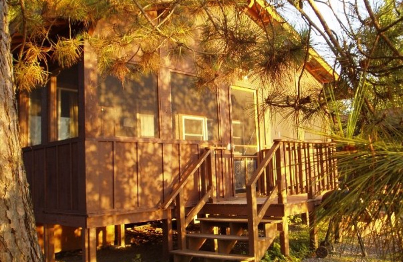 Cabin with porch at Timber Trail Lodge & Resort.
