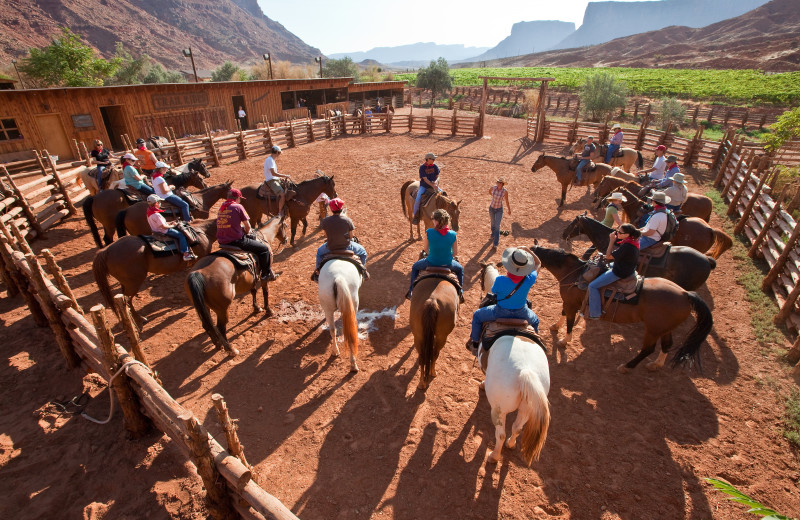 Horseback riding at Red Cliffs Lodge.