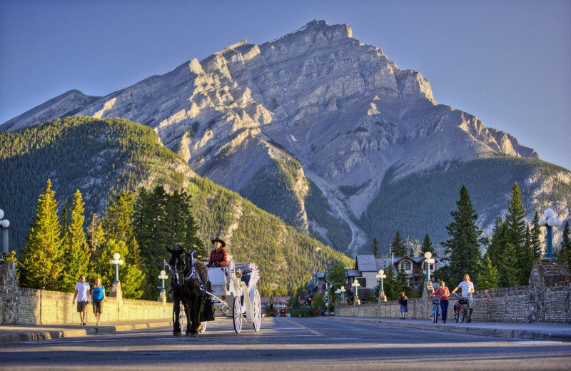 Carriage ride at Banff Trail Riders.