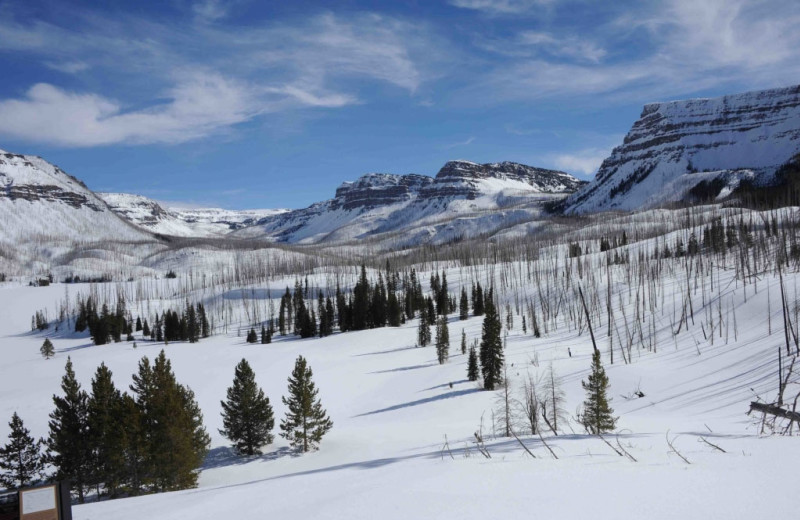 Mountains at Wild Skies Cabin Rentals.