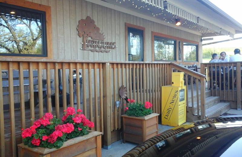 Winjum's Shady Acres Resort (Faribault, MN) Resort Reviews