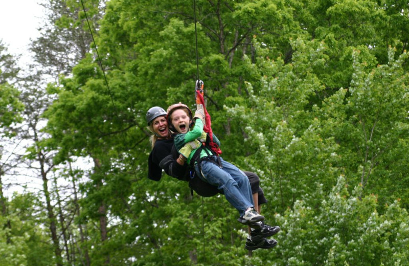 Zip line at Singletree Gun & Plough.