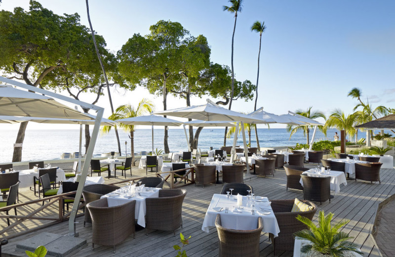 Dining at Tamarind Cove Hotel.