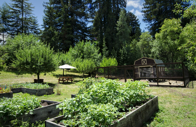 Grounds at Applewood Inn, Restaurant and Spa.