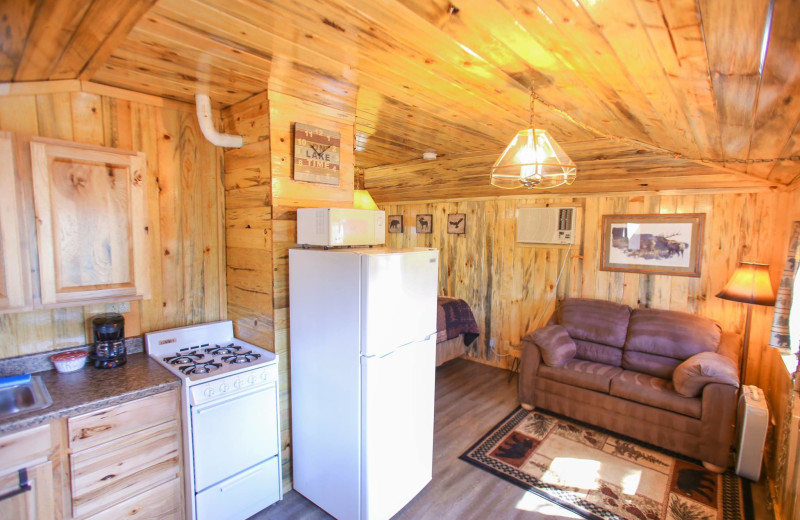 Cabin kitchen at Pine River Lodge.