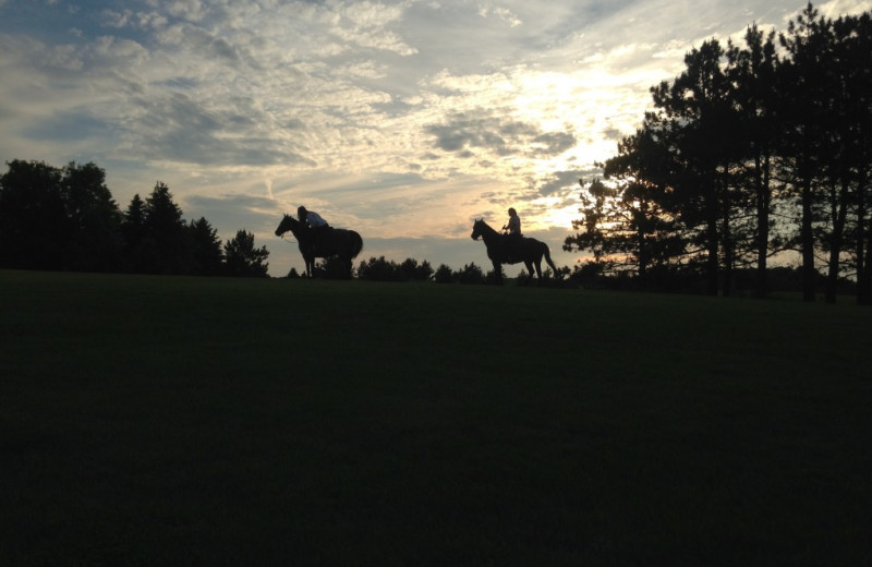 Horseback riding at Five Lakes Resort.