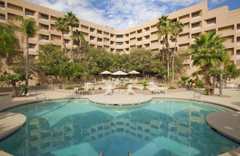 Outdoor pool at Hilton Tucson East.