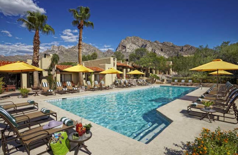 Outdoor pool at Hilton Tucson El Conquistador Golf & Tennis Resort.