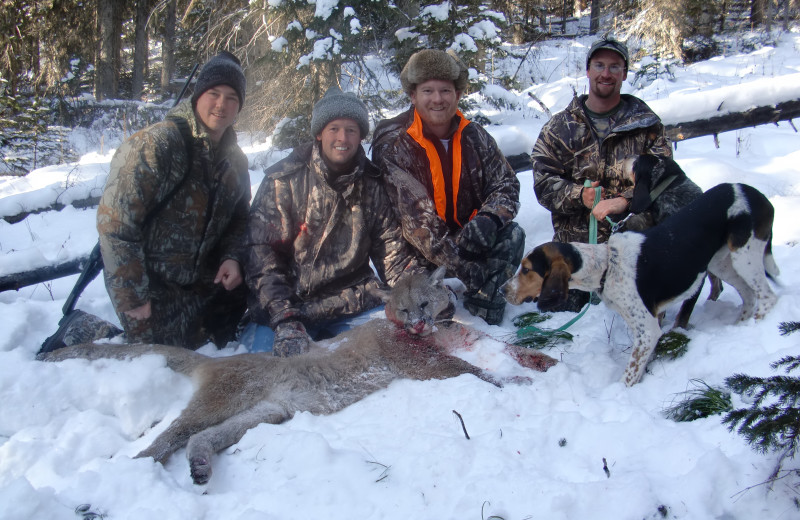 Mountain lion hunting at Silver Spur Outfitters.