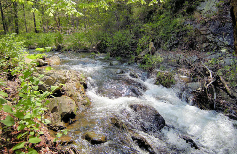 Area Surrounding Brookside Cabins