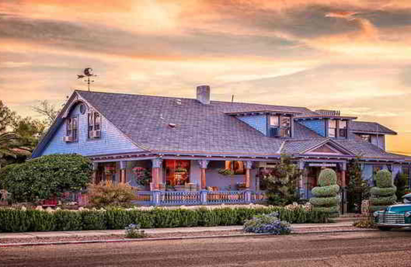 Exterior view of Big Blue House.