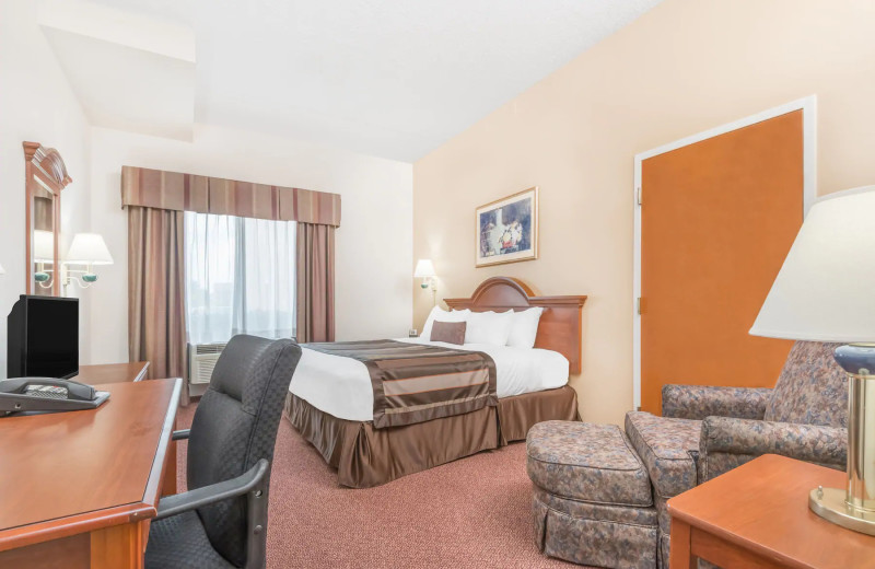 Guest room at Wingate by Wyndham.