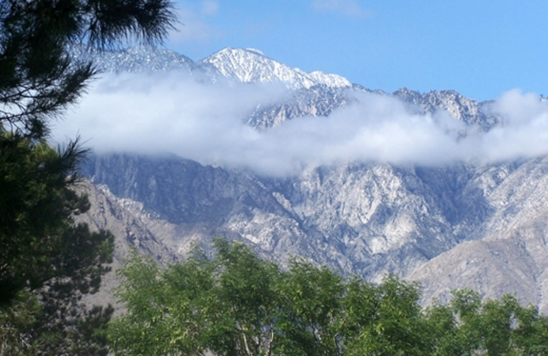 Mountain views at Random Haus.