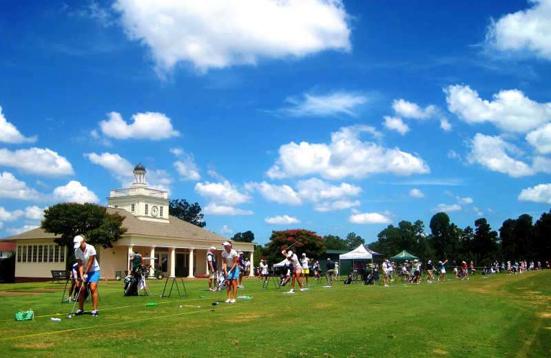 Putting practice at Pinehurst Resort.