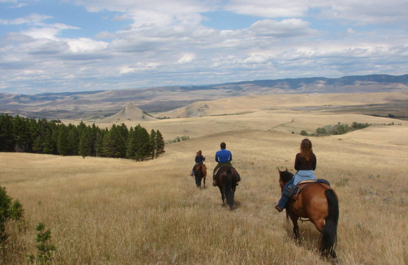 Horseback riding at Bonanza Creek Country Guest Ranch.