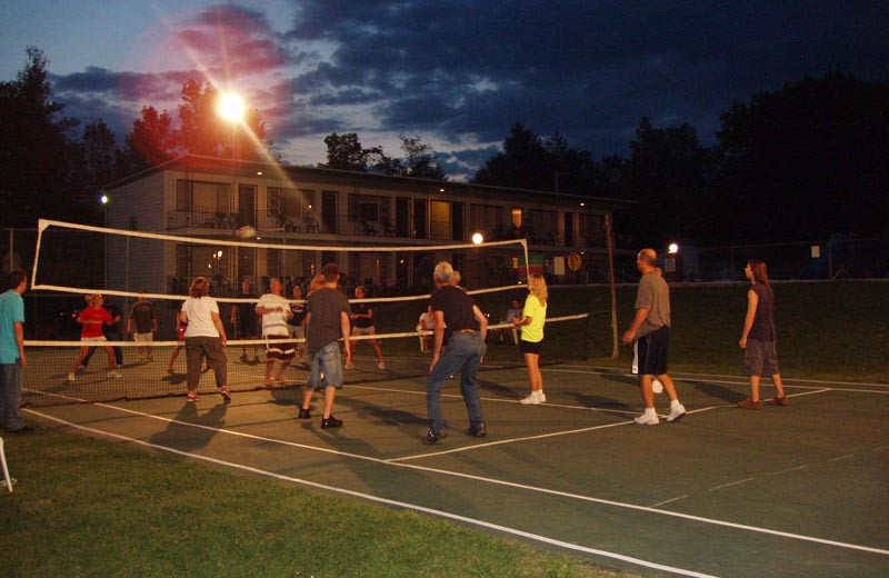 Volleyball court at Baumann's Brookside Summer Resort.