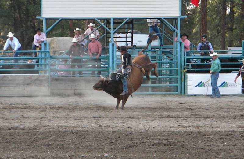 Rodeo at Three Bars Ranch