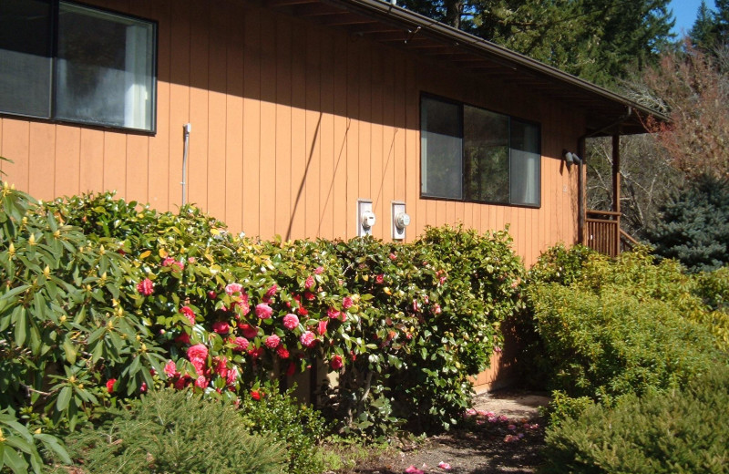 Cabin exterior at The Wayfarer Resort.