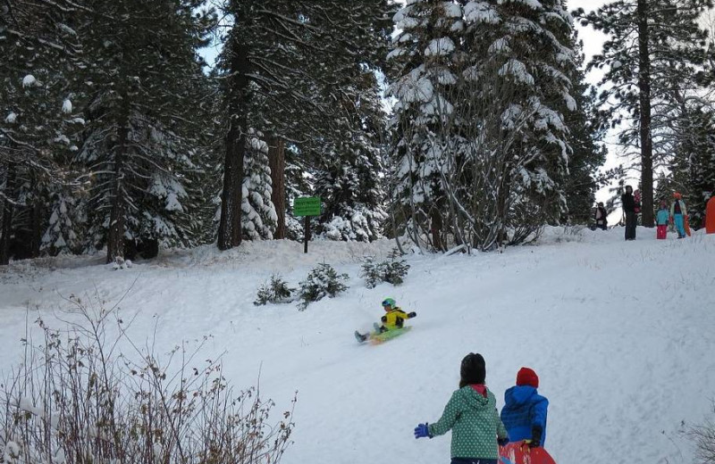 Sledding at Tahoe Tavern Properties.