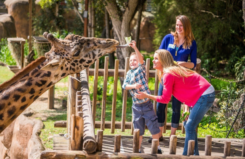 Zoo near Best Western Plus Pepper Tree.