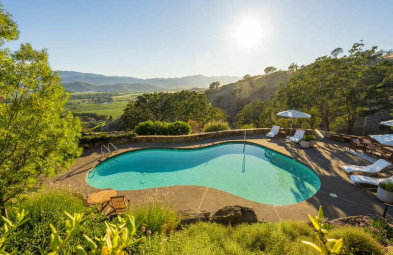 Outdoor pool at Poetry Inn.