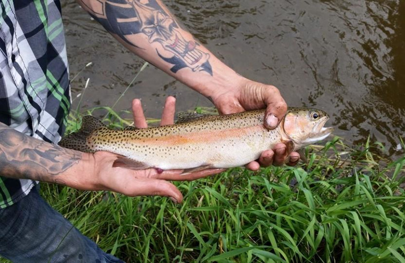 Fishing at Tomahawk Guest Ranch.