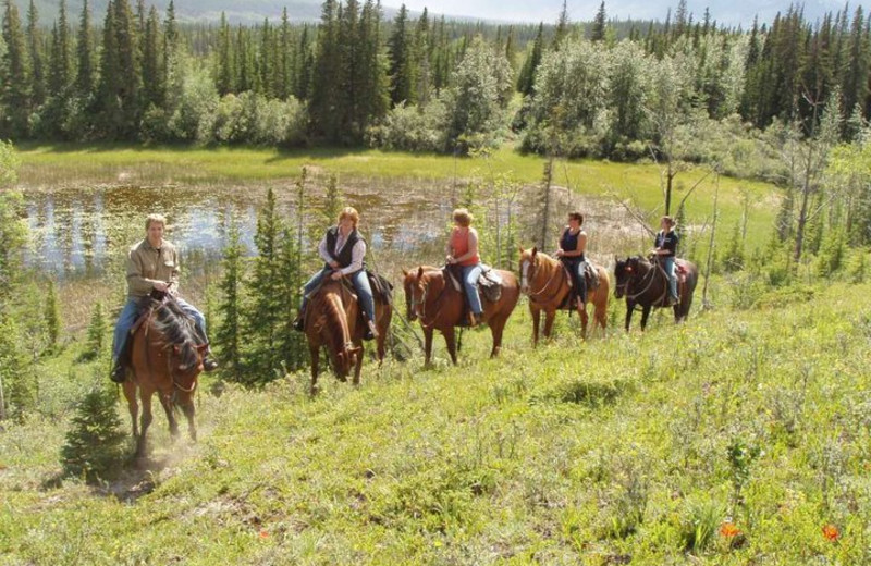 Horseback Riding at Old Entrance B 'n B Cabins