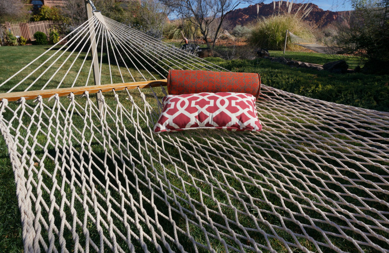 Hammock at Red Mountain Resort & Spa.