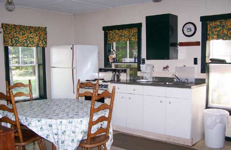 Cabin kitchen at Wilsons On Moosehead Lake.