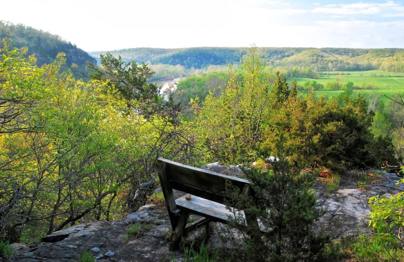 Scenic view at Rock Eddy Bluff Farm.