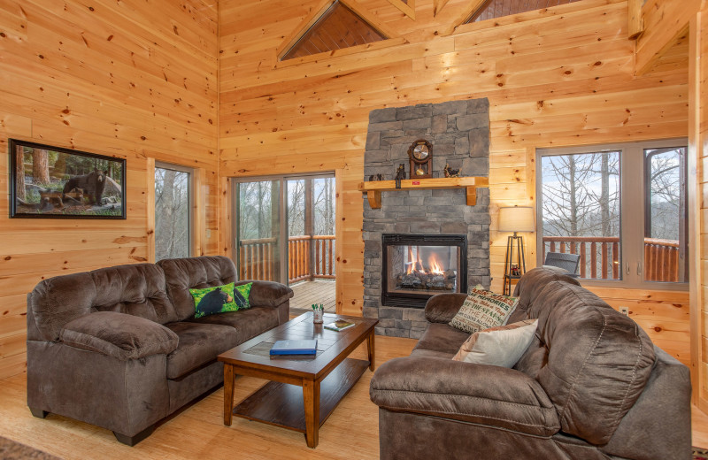 Living room American Patriot Getaways - Happy Bear's Hideaway.