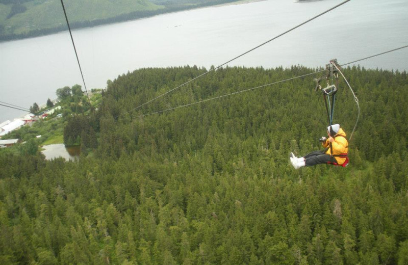 Zipline near Elfin Cove Resort.