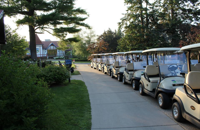 Golf carts at Otsego Club and Resort.