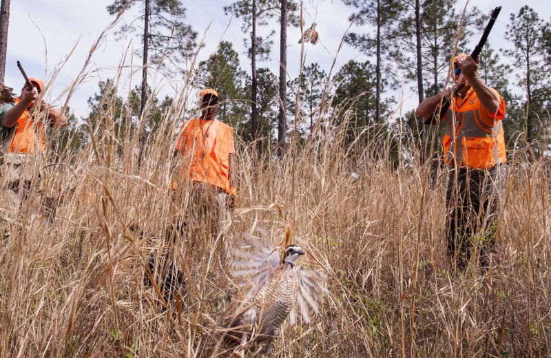 Hunting at Quail Country Lodge.