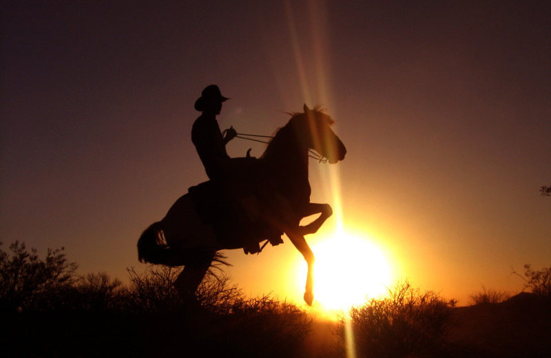 Horseback riding at Stagecoach Trails Guest Ranch.