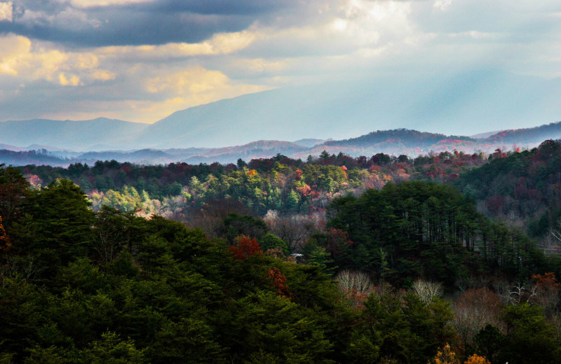 Beautiful scenery at Eagles Ridge Resort.