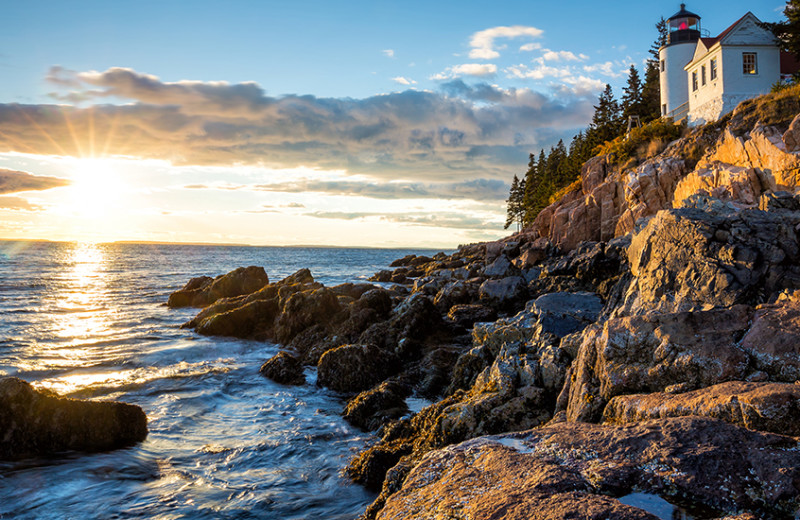 Coastline at Bar Harbor Inn 