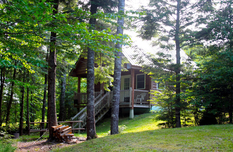 Cabin at Wild Fox Cabins.