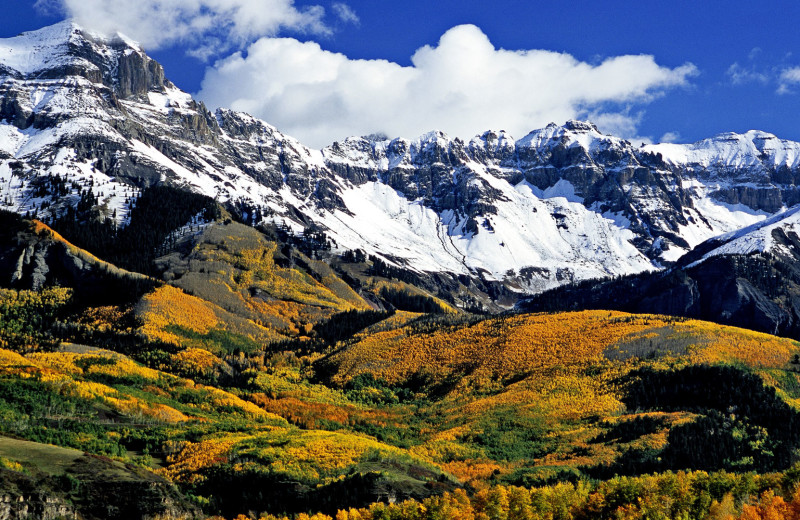 Fall at Mountain Lodge Telluride.