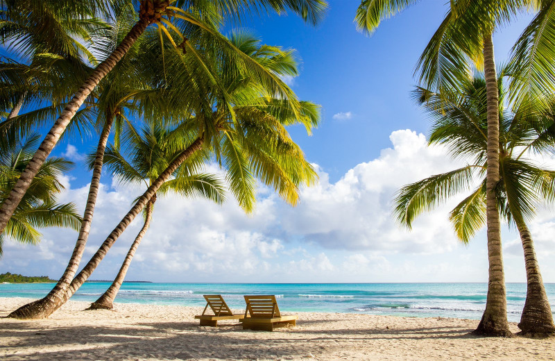 Beach at Key West Bed & Breakfast.