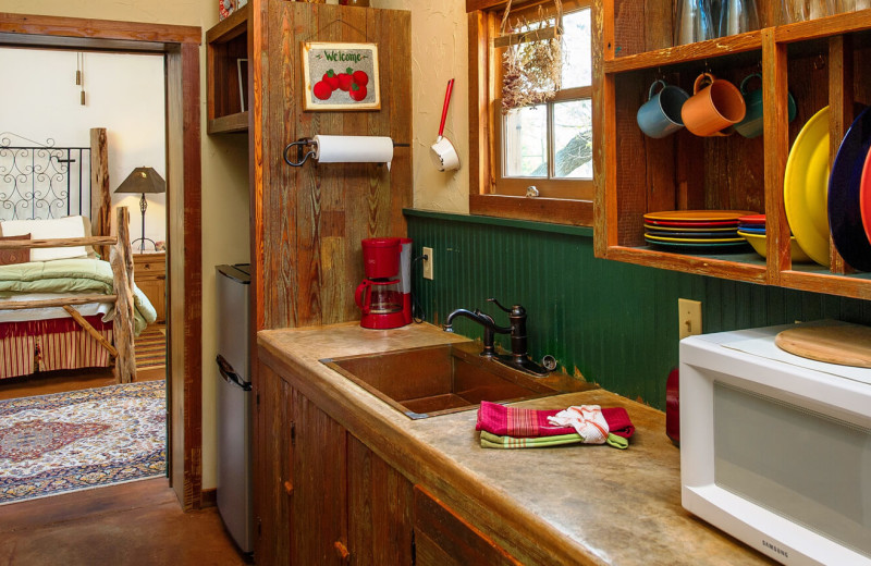 Cabin kitchen at Barons Creekside.