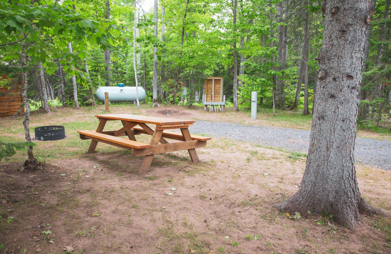 Campground at Wilderness Resort Cabins & Campground.