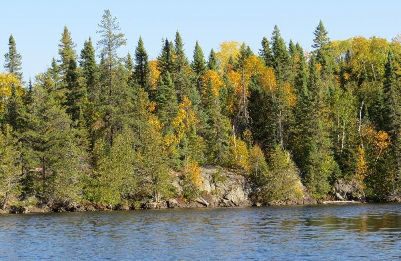 Lake view at Bay Wolf Camp.