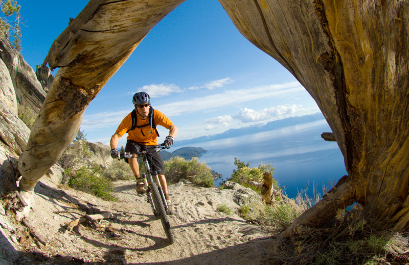 Mountain biking at Tahoe Getaways.